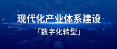 现代产业化体系建设与数字化转型