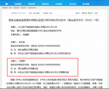 长江财险销售总监私刻公章骗取资金，获刑后终身禁业！